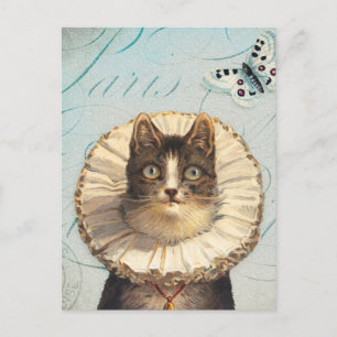 Carte Postale Chat vintage avec collier et papillons