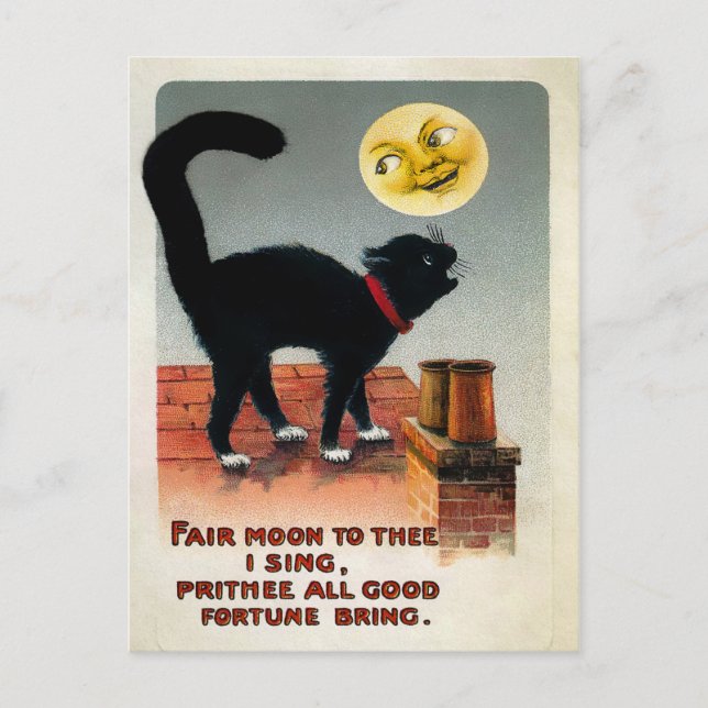 Carte Postale Chat vintage et Lune (Devant)