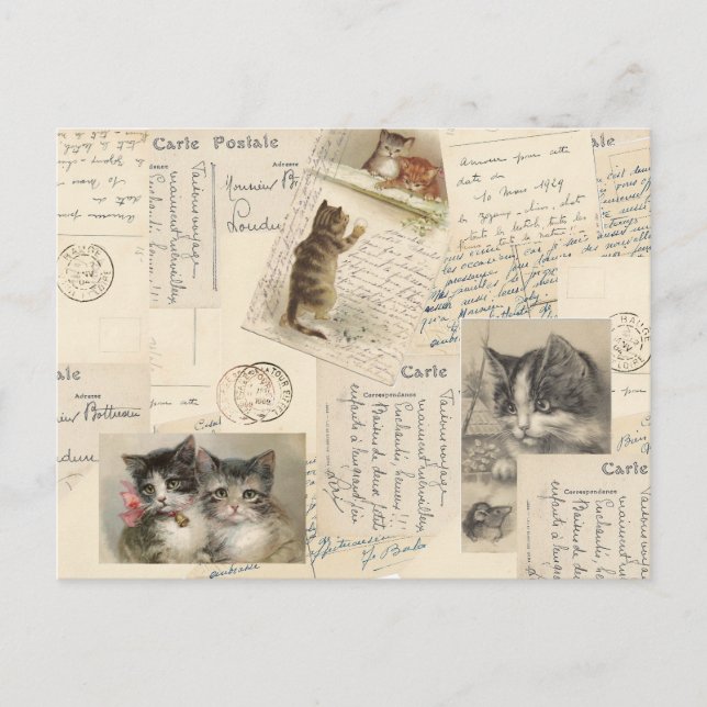 Carte postale Chat vintage French Kitten (Devant)