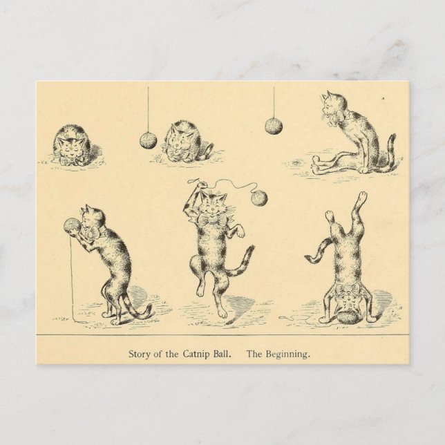 Carte Postale Chat vintage Funny (Devant)