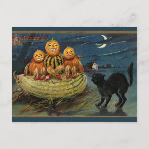 Carte Postale Chat vintage Halloween