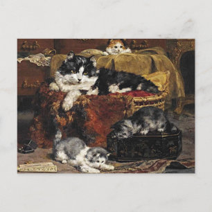 Carte Postale Chat vintage Noir Et Blanc Avec Chatons