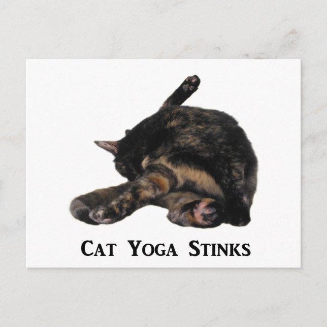 Carte Postale Chat Yoga puent (Devant)