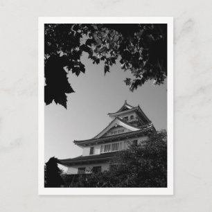 Carte Postale Château de Hikone : Japon