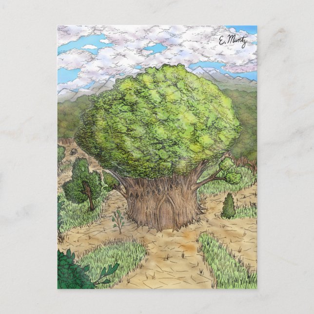 Carte Postale Château des Arbres Enchantées (Devant)