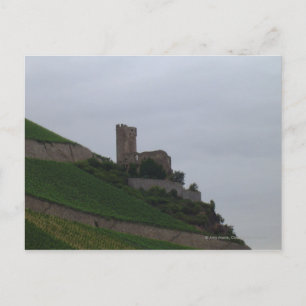 Carte Postale Château du Rhin