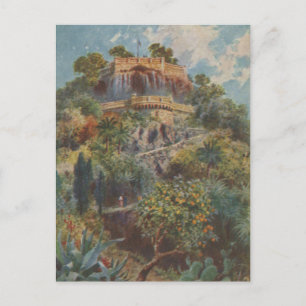 Carte Postale Château Nice France