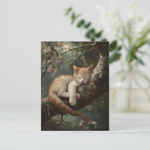 Carte Postale Chaton dormant dans un arbre Vintage