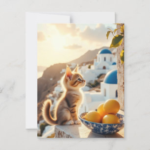 Carte Postale chaton en Italie