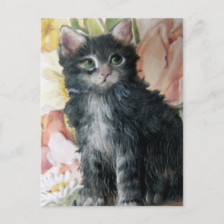 Carte Postale chaton Et Fleurs