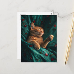 Carte Postale Chaton Gingembre Endormi Sous les Couvertures