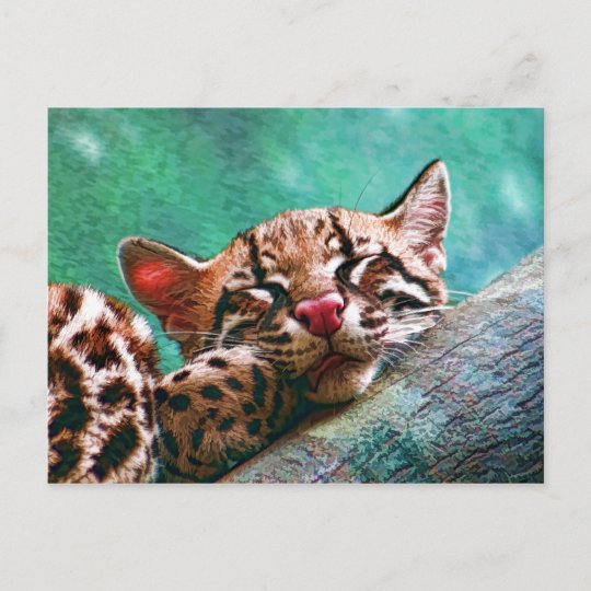 Carte Postale Chaton Mignon D Ocelot De Bebe De Sommeil Zazzle Ch