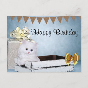 Carte Postale Chaton persan blanc Joyeux Anniversaire