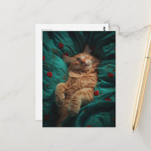 Carte Postale Chaton roux endormi