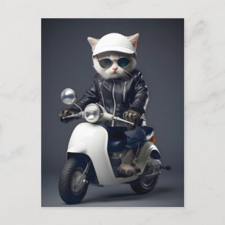 Carte Postale Chaton Scooter Cool Félicitations