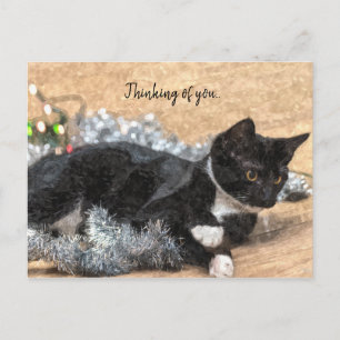 Carte Postale Chaton Smoking Tinsel et Lumières Pensées pour Toi