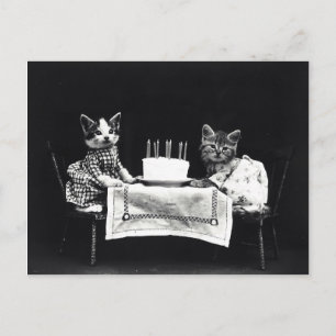 Carte Postale Chatons anniversaire vintage