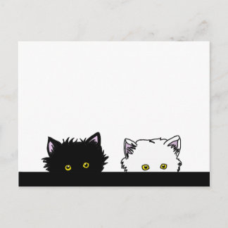 Carte Postale Chatons de piaulement