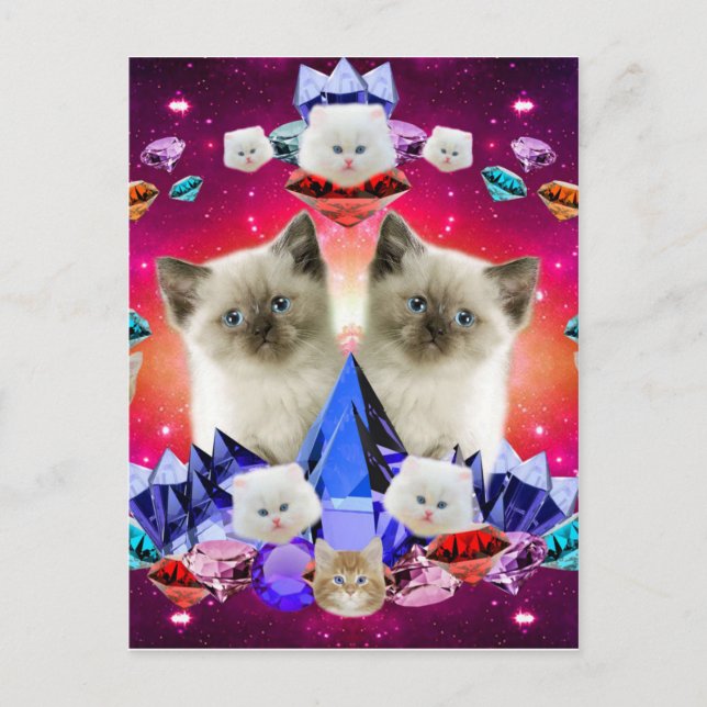 Carte Postale Chatons et diamants (Devant)