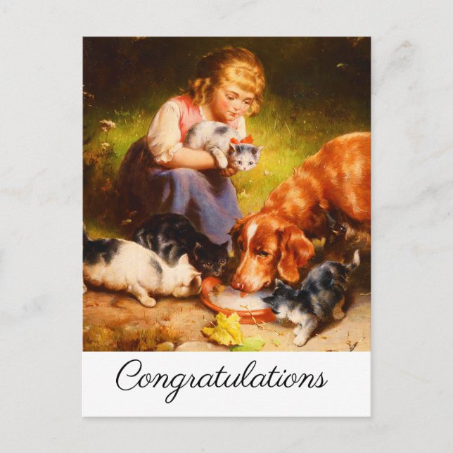Carte Postale Chatons femelles et chien retriever buvant du lait (Devant)