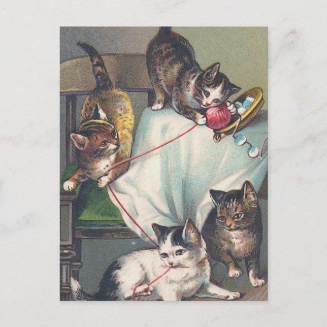 Carte postale "Chatons jouant avec de la laine de  (Devant)