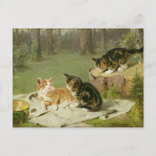 Carte Postale Chatons Jouer