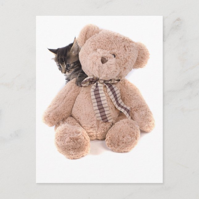 Carte Postale chatons tabby jouant avec un ours en peluche (Devant)