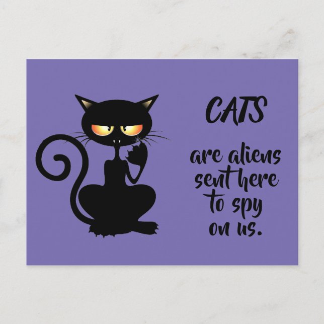 Carte Postale chats (Devant)
