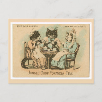 Carte Postale Chats à thé Formosa