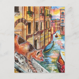 Carte Postale Chats À Venise