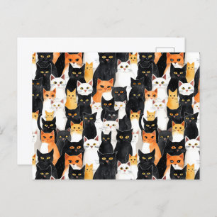 Carte Postale Chats blancs oranges noirs