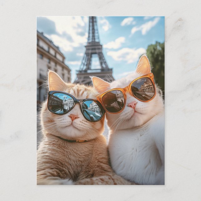 Carte Postale Chats cool à Paris (Devant)