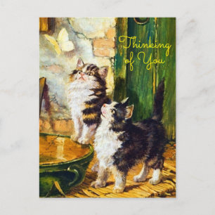 Carte Postale Chats Curieux Vintage Papillon Pensée pour Vous
