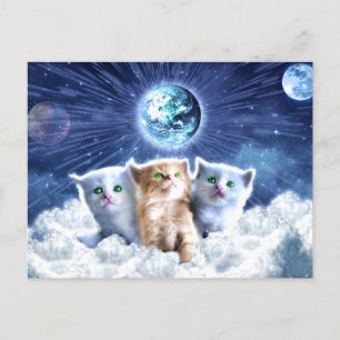 Carte Postale Chats dans le nuage