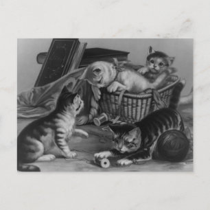 Carte Postale Chats dans le panier à coudre