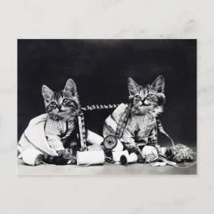 Carte Postale Chats de couture Vintage Noir et Blanc