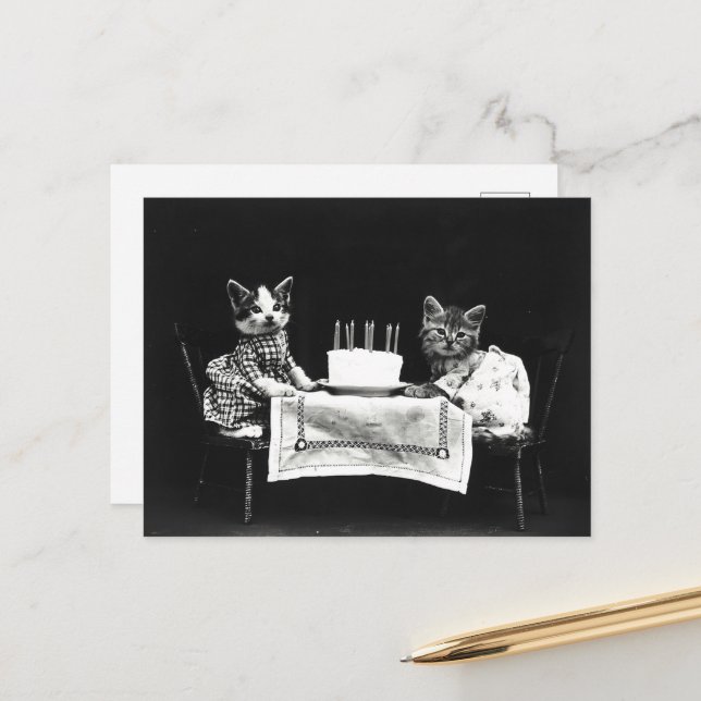 Carte Postale Chats de gâteau d'anniversaire mignons (Devant/Arrière en situation)