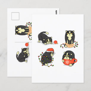 Carte Postale Chats de Noël mignons et amusants