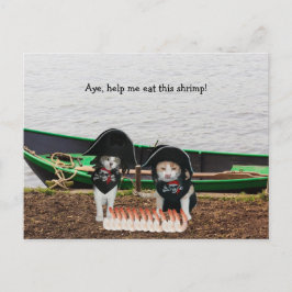 Carte Postale Chats de pirates amusants