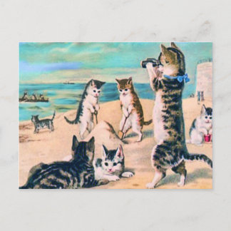 Carte Postale Chats de plage