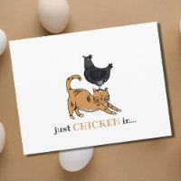 Chats et poulets amusants, rien que l'enregistreme