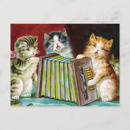 Carte Postale "Chats et une Squeezebox"