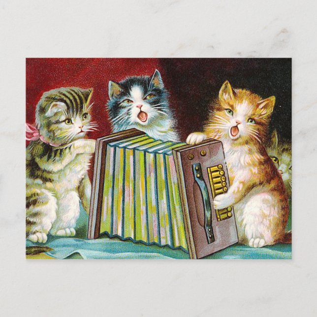 Carte Postale "Chats et une Squeezebox" (Devant)