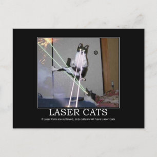 Carte postale Chats laser