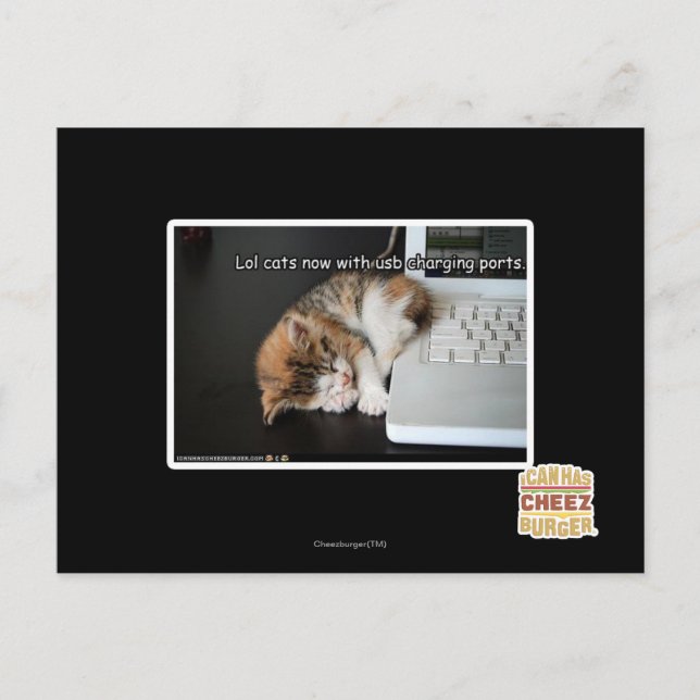 Carte Postale Chats Lol avec USB (Devant)