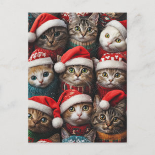 Carte Postale Chats mignons en chapeaux de Noël Animaux de Noël
