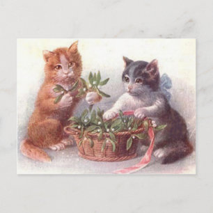 Carte Postale Chats & Mistletoe