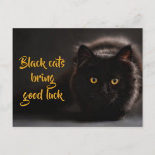 Carte Postale Chats Noirs Apporter Bonne Chance/ Personnalisé