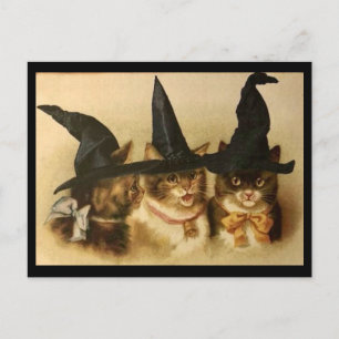 Carte Postale Chats noirs d'Halloween vintage