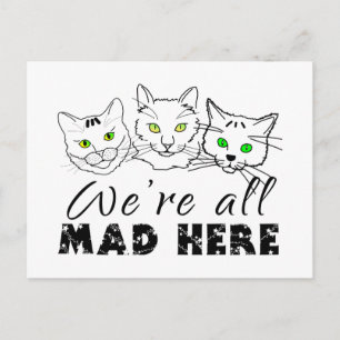 Carte Postale Chats - Nous sommes tous morts ici